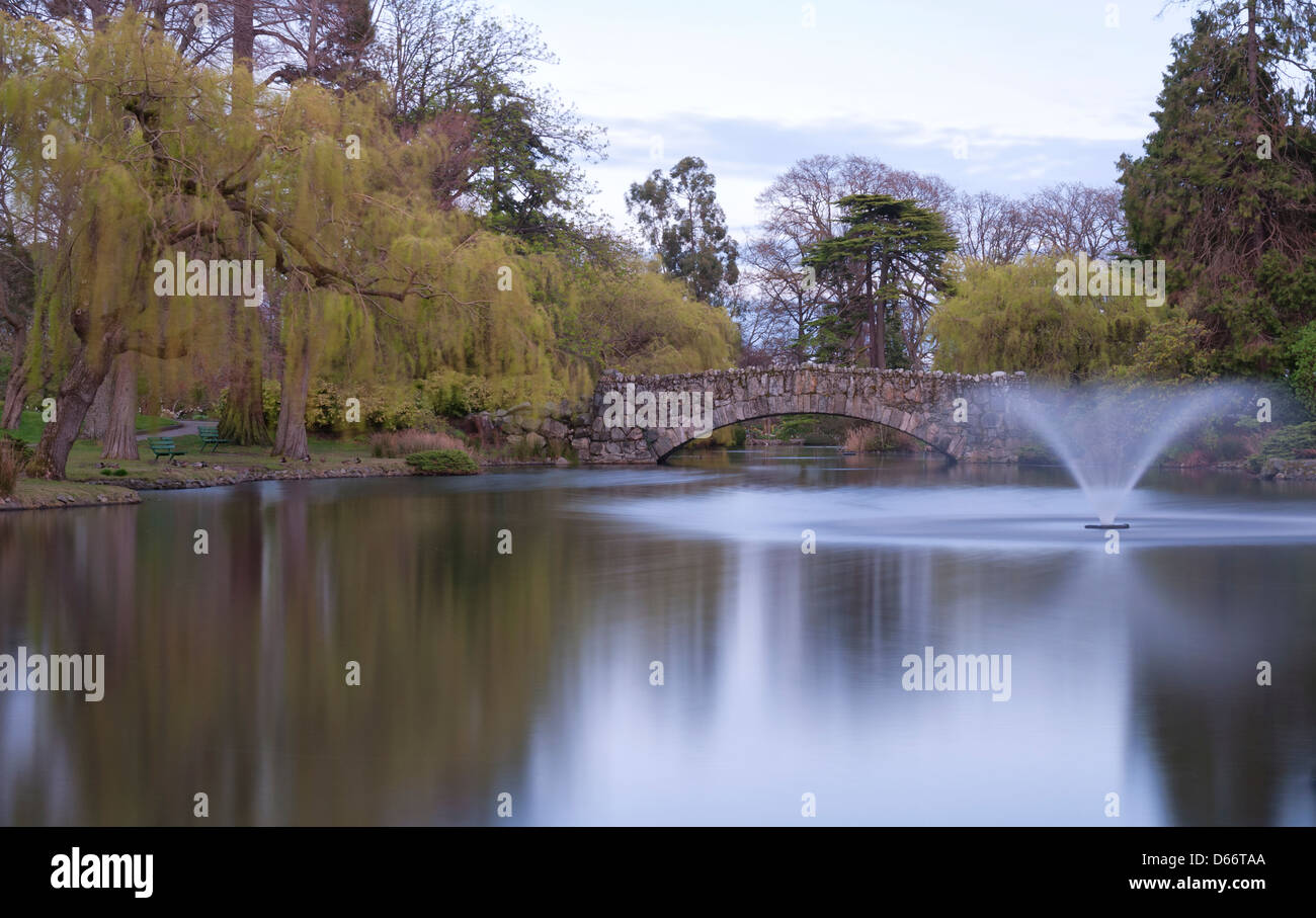 Cette image a été prise dans le parc Beacon Hill, Victoria, Colombie-Britannique Banque D'Images