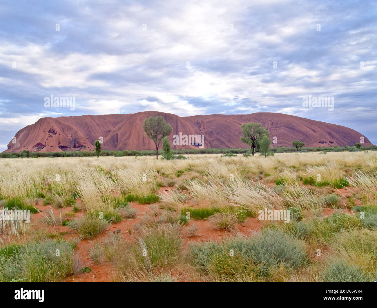 L'Uluru (Ayer's Rock), Territoire du Nord, Australie Banque D'Images