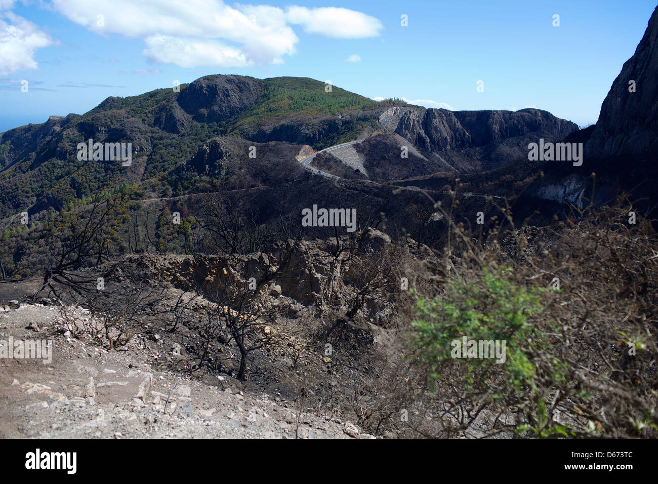 Paysage volcanique avec road et arbres brûlés sur l'île de La Gomera Banque D'Images