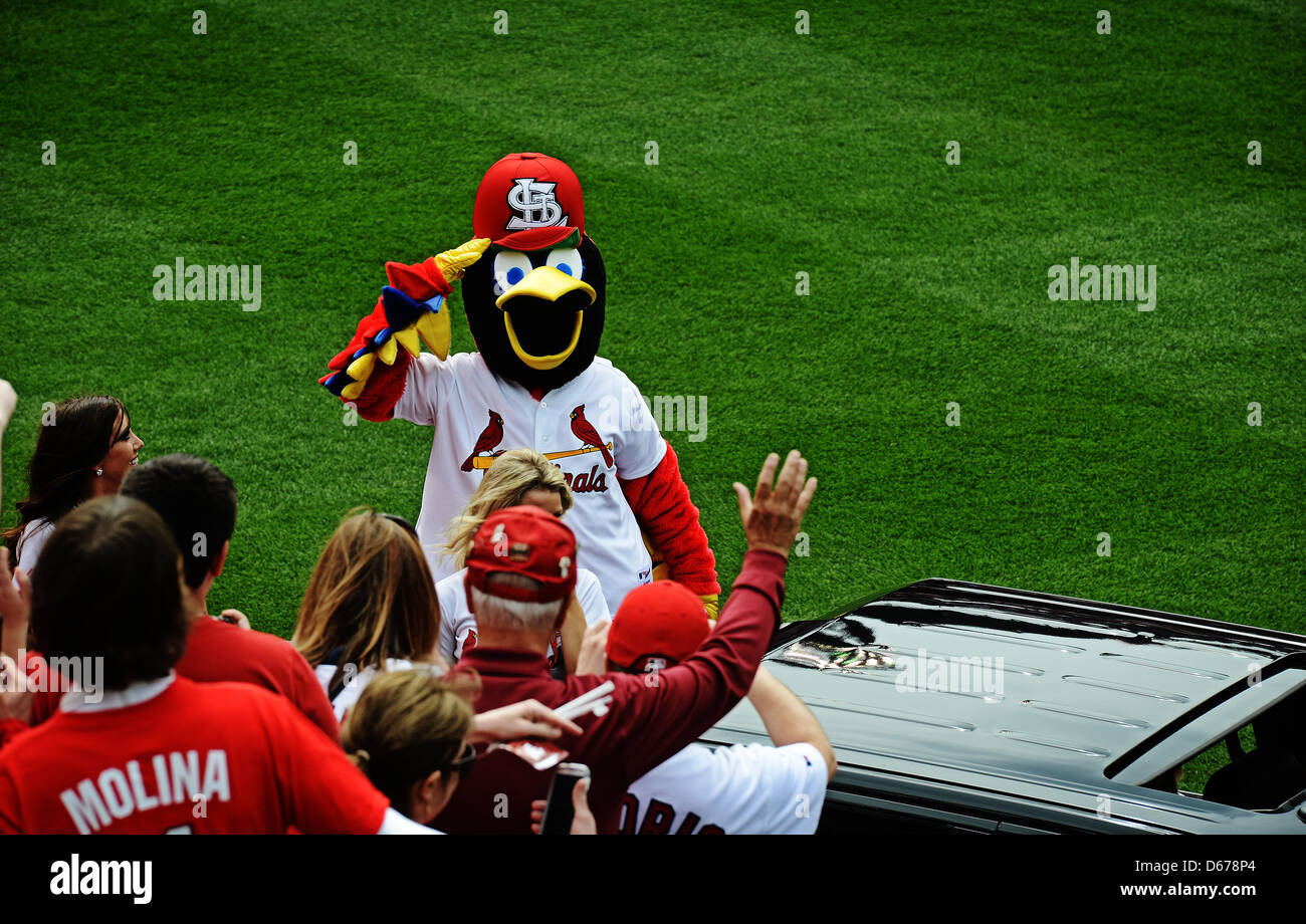 Fredbird, la mascotte de l'équipe des Cardinals de St. Louis, salue les aviateurs de la 375e Escadre Air Mobility, base aérienne Scott, dans l'Illinois, au stade Busch, qui se préparent à présenter le drapeau géant à près de 50,000 fans pour voir le 8 avril 2013. Scott AFB participe à de nombreuses manifestations sportives communautaires, mais c'était la première fois qu'ils ont présenté le drapeau le jour d'ouverture de la saison. Les cardinaux ont ensuite perdu aux Cincinnati Reds 13-4. (ÉTATS-UNIS Photo de la Force aérienne/ Sgt. Ryan Crane) Banque D'Images