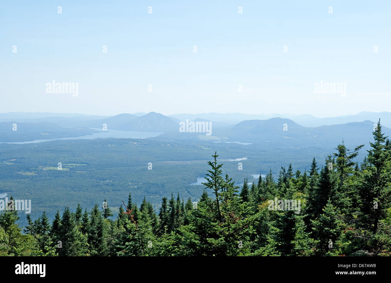 Vue sur la forêt de conifères et de montagnes au Canada. Banque D'Images