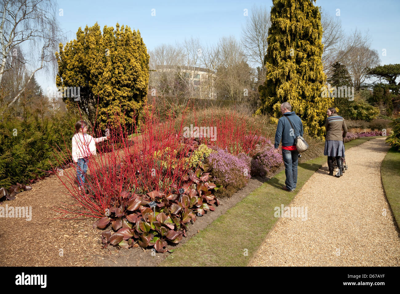Une famille à la recherche de fleurs et de plantes dans le jardin d'hiver, le Jardin botanique de Cambridge, Cambridge, UK Banque D'Images