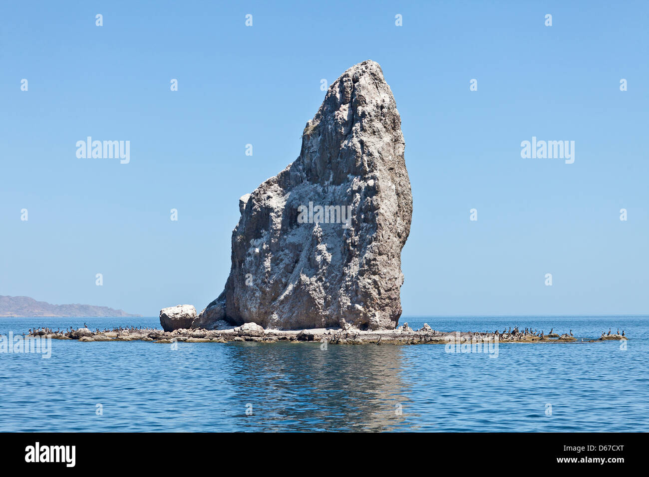 Roca Solitaria, un éperon rocheux et colonie d'oiseaux marins au large de Agua Verde, Baja California Sur, au Mexique, avec le pélican brun à la base. Banque D'Images