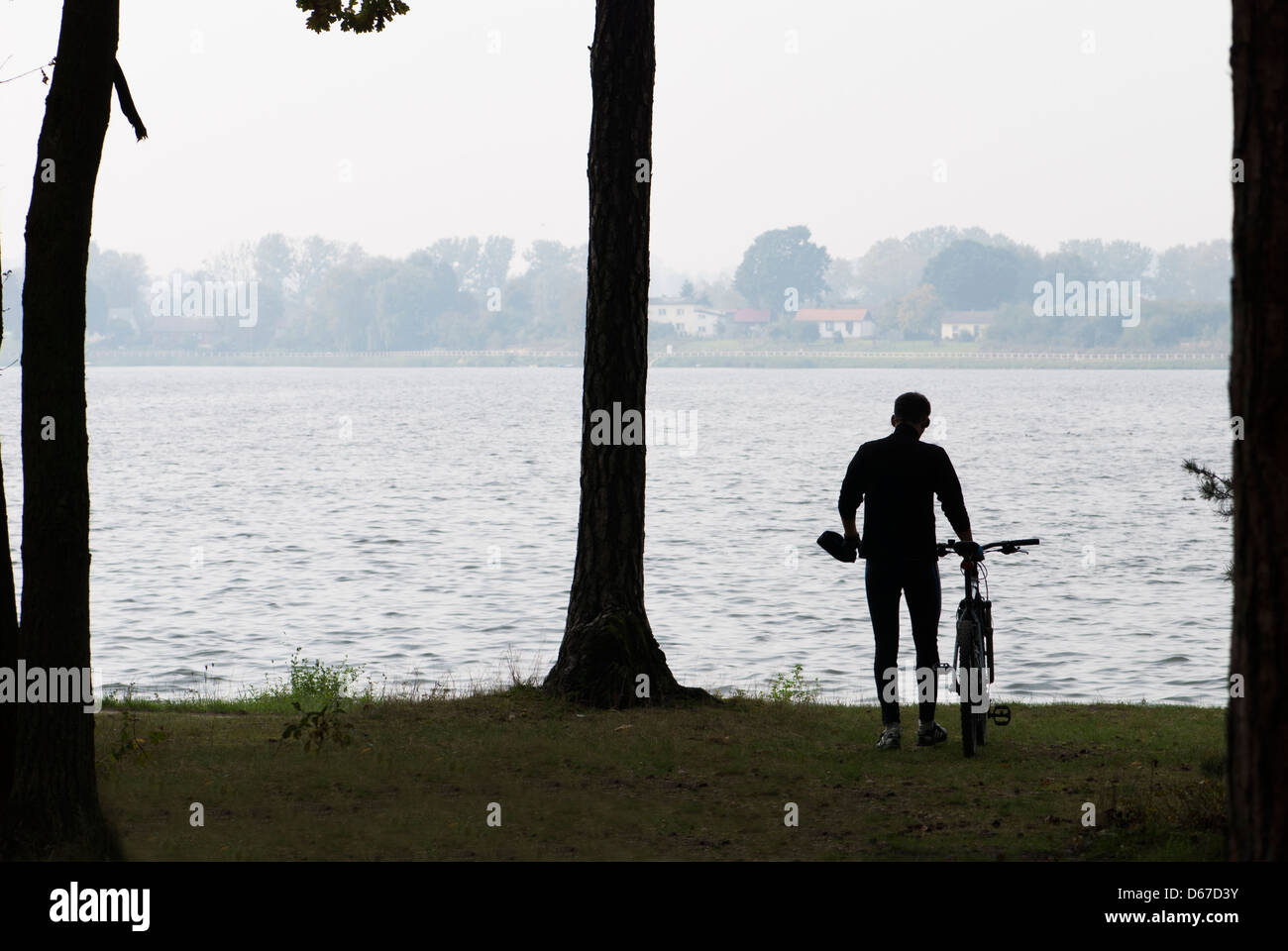 Silhouette de cycliste le long de la banque du lac Zemborzycki, Lublin, Pologne, Europe Banque D'Images