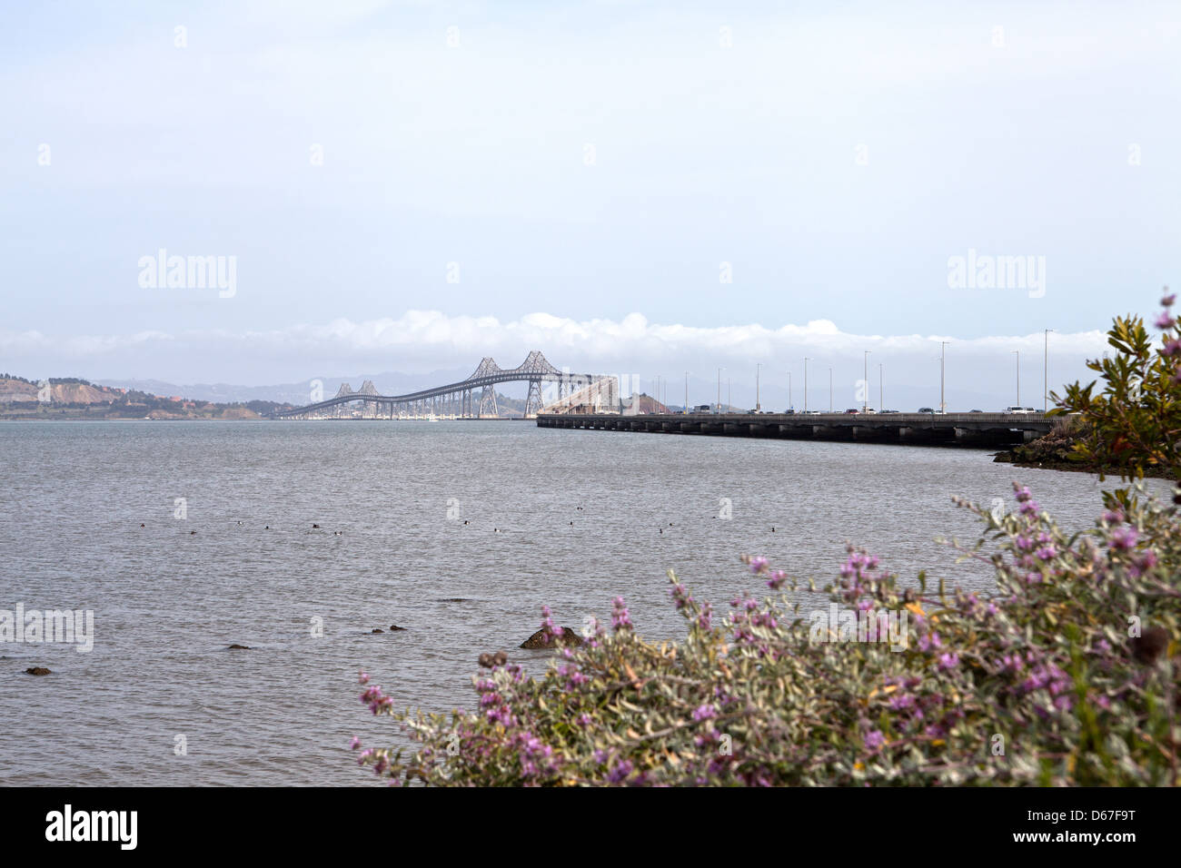 San Rafael de Richmond Bridge, San Rafael, Californie, États Unis, Amérique du Nord Banque D'Images