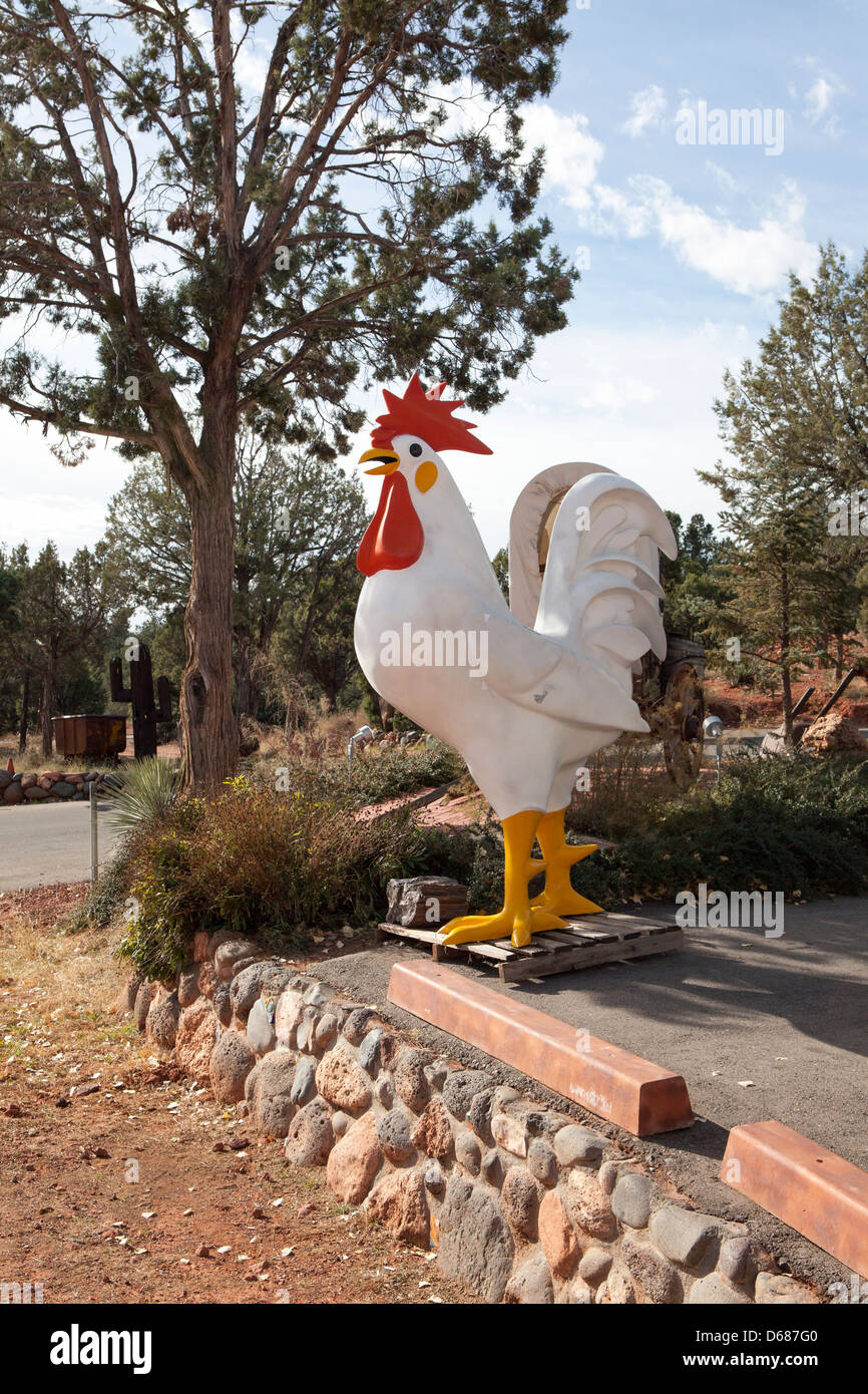 Un coq figure à côté d'une route et les roches rouges dans la toile, Sedona, Arizona, USA Banque D'Images