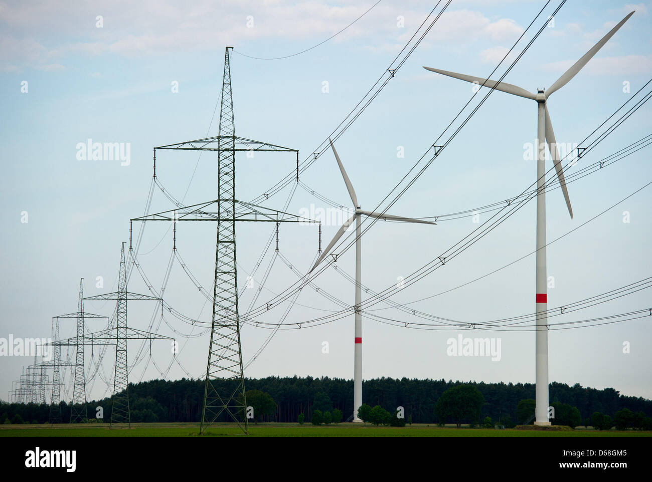 (Afp) - Un fichier photo en date du 05 mars 2010 indique les pylônes électriques, les lignes électriques et les centrales éoliennes en Allemagne., Peitz Des centaines d'oiseaux meurent chaque année de l'électrocution. Photo : Patrick Pleul Banque D'Images