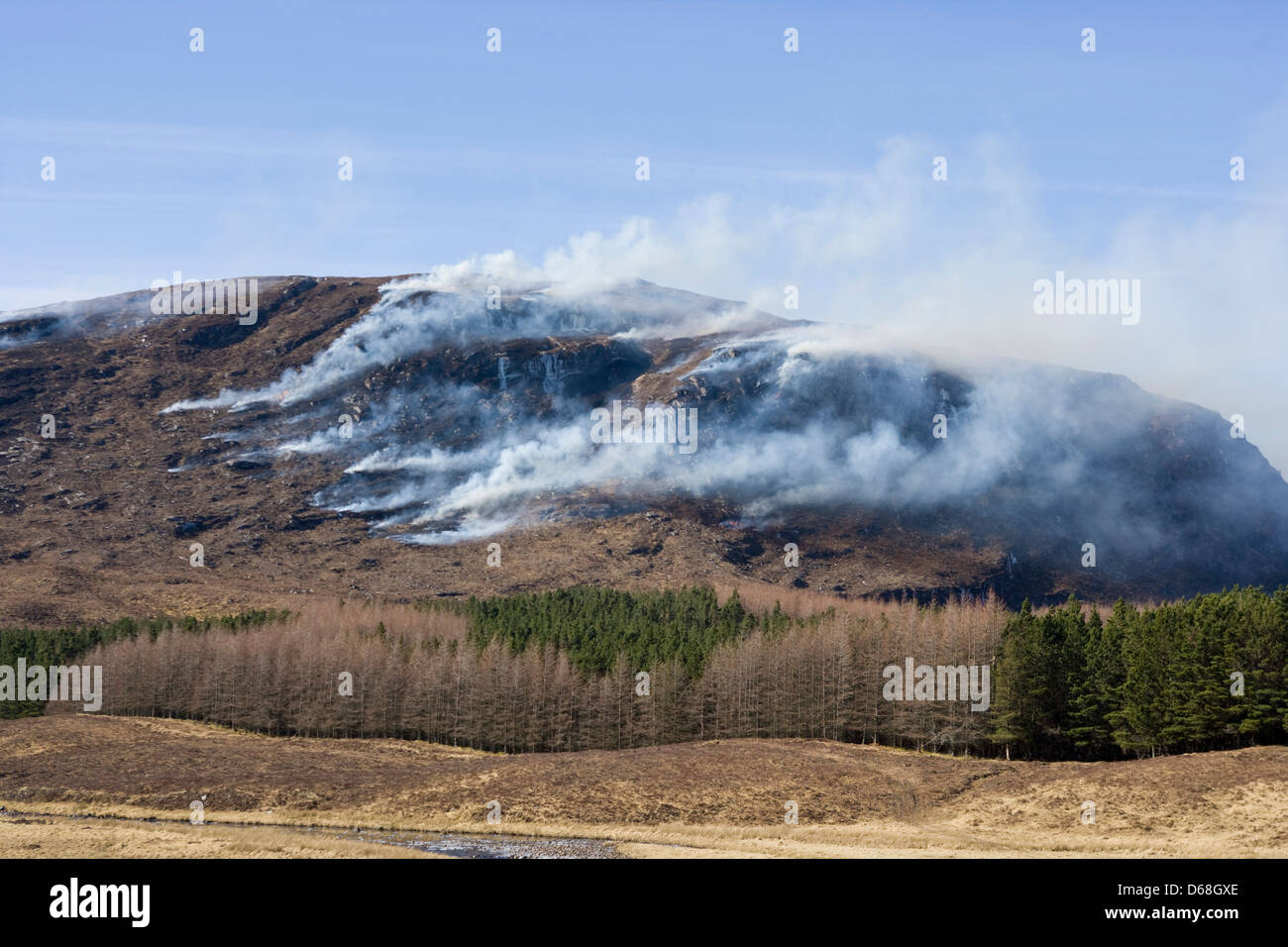 Heather brûlant dans les highlands d'Ecosse. Banque D'Images