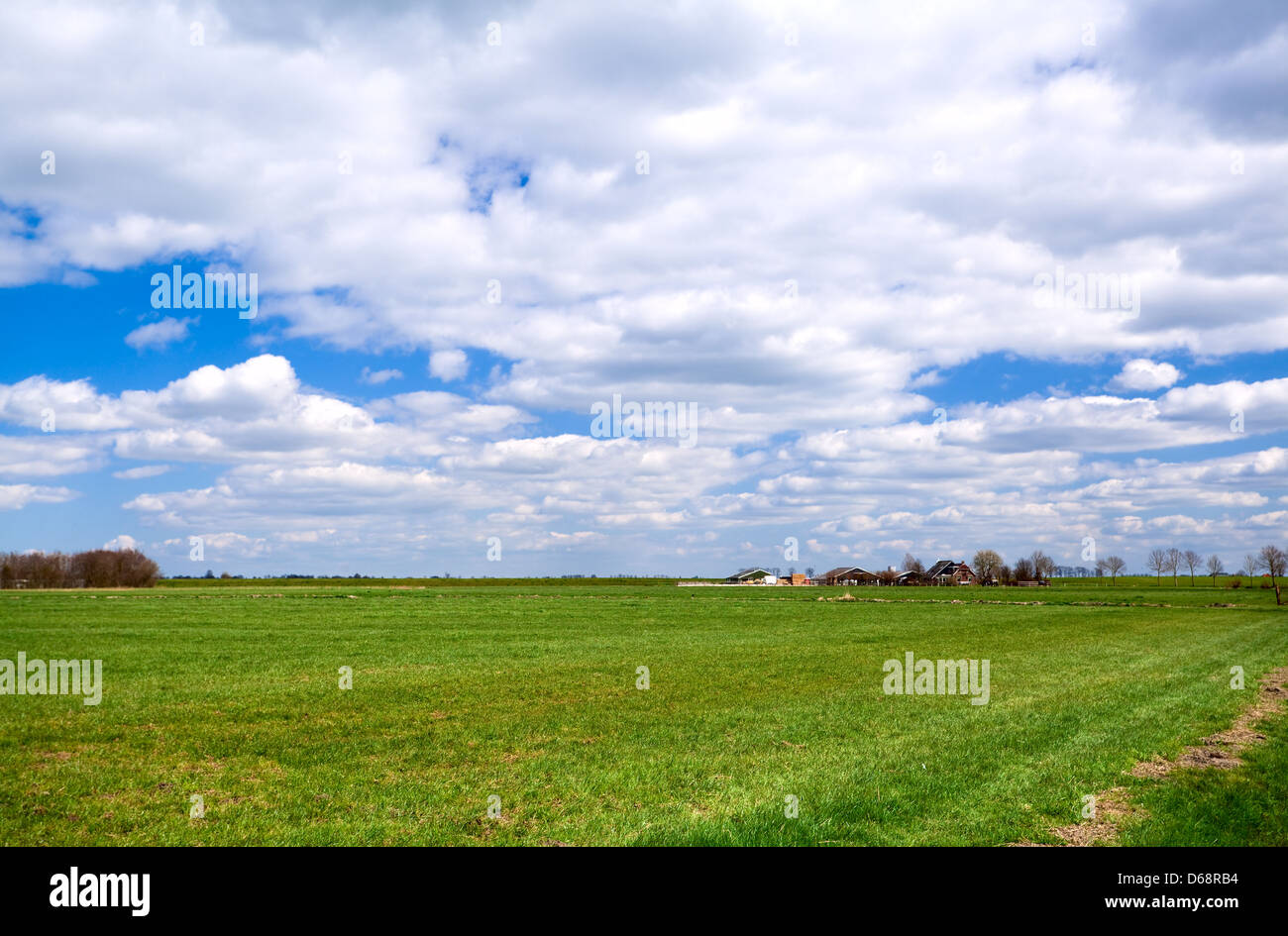 Paysage typique des Pays-Bas Banque D'Images