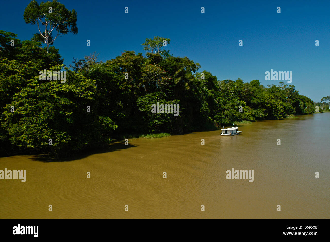 Voile navigue jusqu'au fleuve Madeira, forêt amazonienne, au Brésil. Banque D'Images