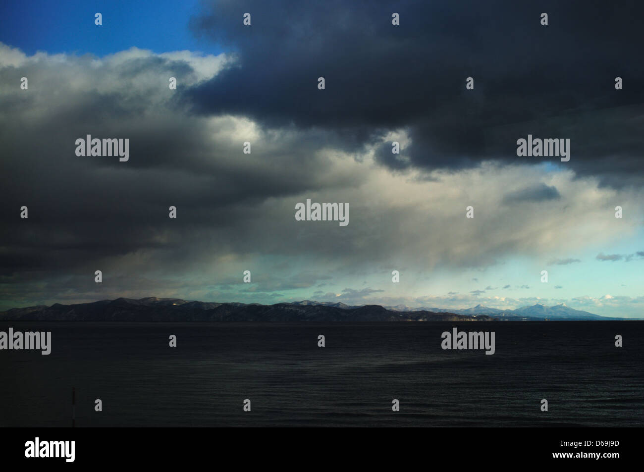 Cette image montre un super Hakucho, une espèce d'oiseau originaire de Hokkaido, au Japon. Il est capturé dans son environnement naturel, mettant en valeur la taille et l'environnement de l'oiseau. Banque D'Images