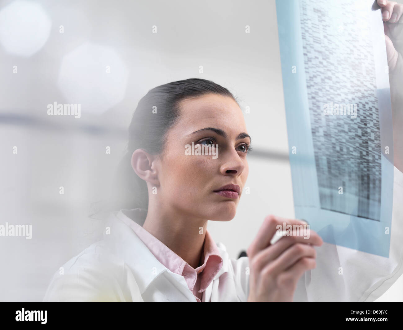 Scientist examining DNA sequencing gel Banque D'Images
