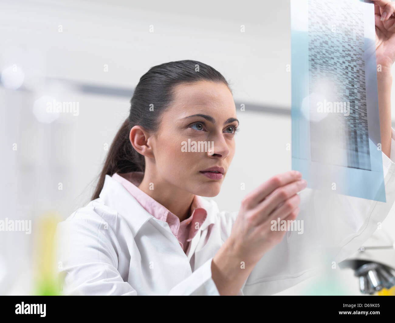 Scientist examining DNA sequencing gel Banque D'Images