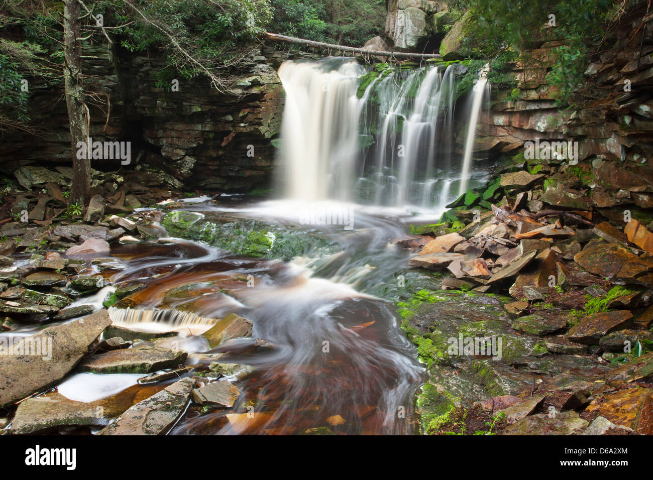 Chutes d'ELAKALA BLACKWATER FALLS STATE PARK WEST VIRGINIA USA Banque D'Images