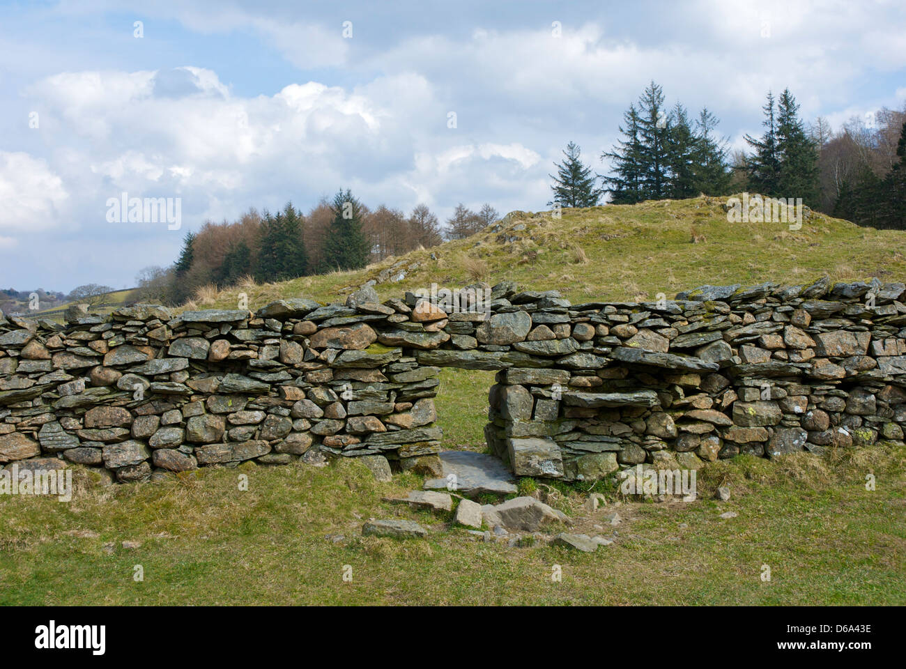 L'étape-stile à muret de pierres sèches, près de Windermere, Parc National de Lake District, Cumbria, Angleterre, Royaume-Uni Banque D'Images