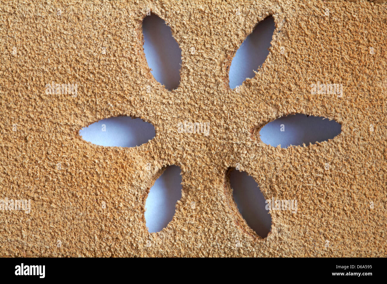 Cut out detail sur véritable cuir ceinture Banque D'Images