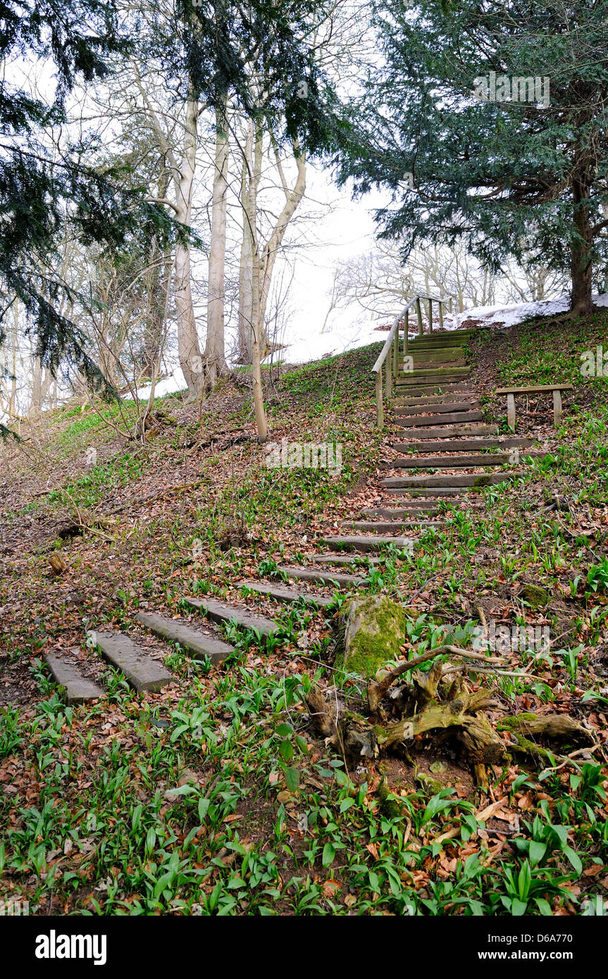 Sentier de bois fabriqué à partir de traverses de chemin de fer en bois serpente son chemin une petite pente. Banque D'Images