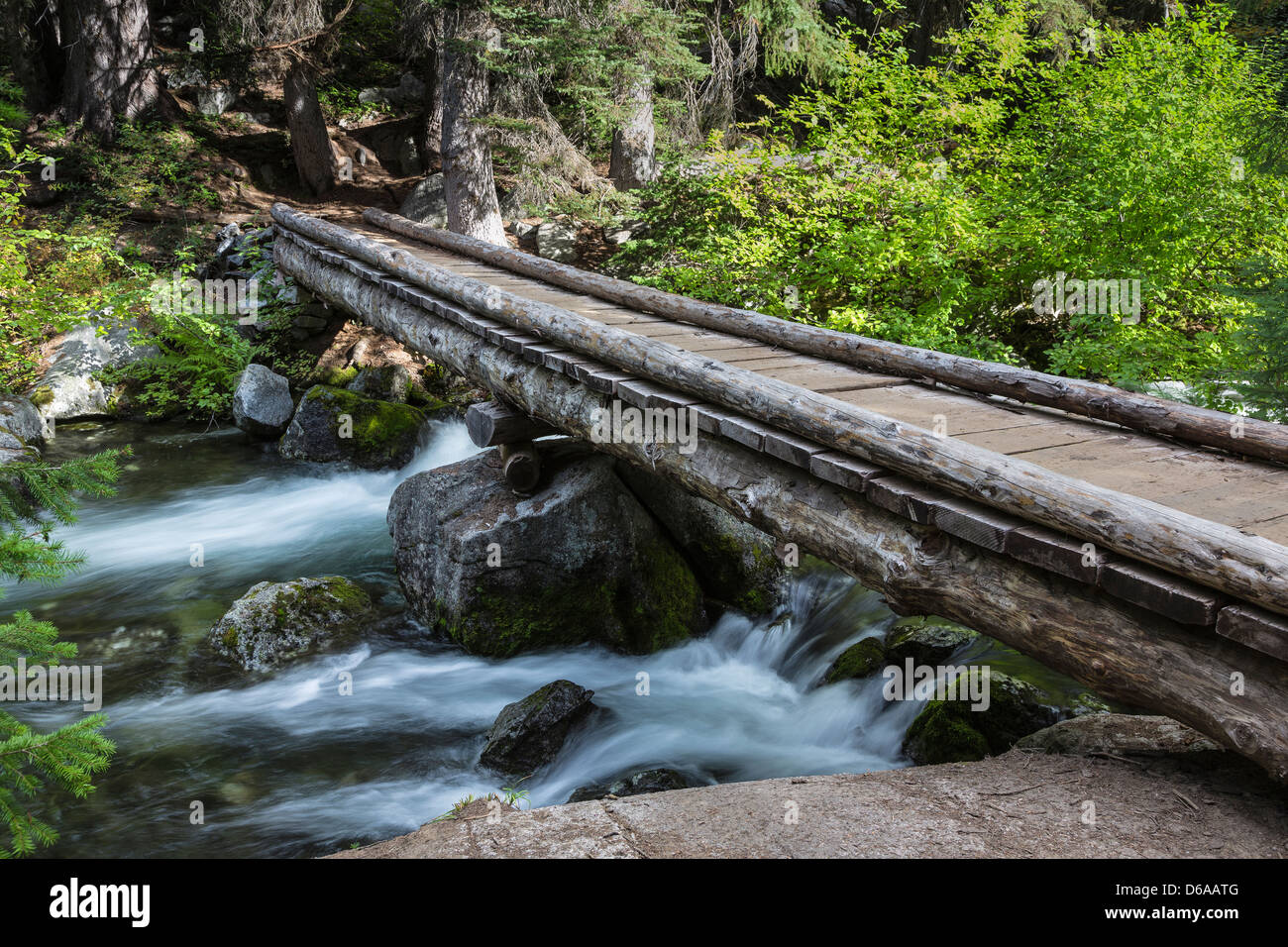 Pont enjambant le ruisseau de la neige le long du sentier des lacs de neige dans les enchantements, cascades, forêt nationale de Okanogan-Wenatchee Banque D'Images