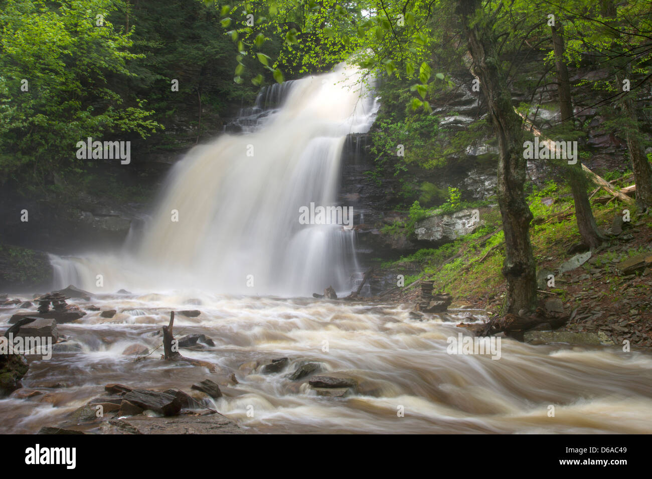 GANOGA TORRENT PRINTEMPS CUISINE CASCADE CREEK RICKETTS GLEN STATE PARK LUZERNE COMTÉ PENNSYLVANIA USA Banque D'Images