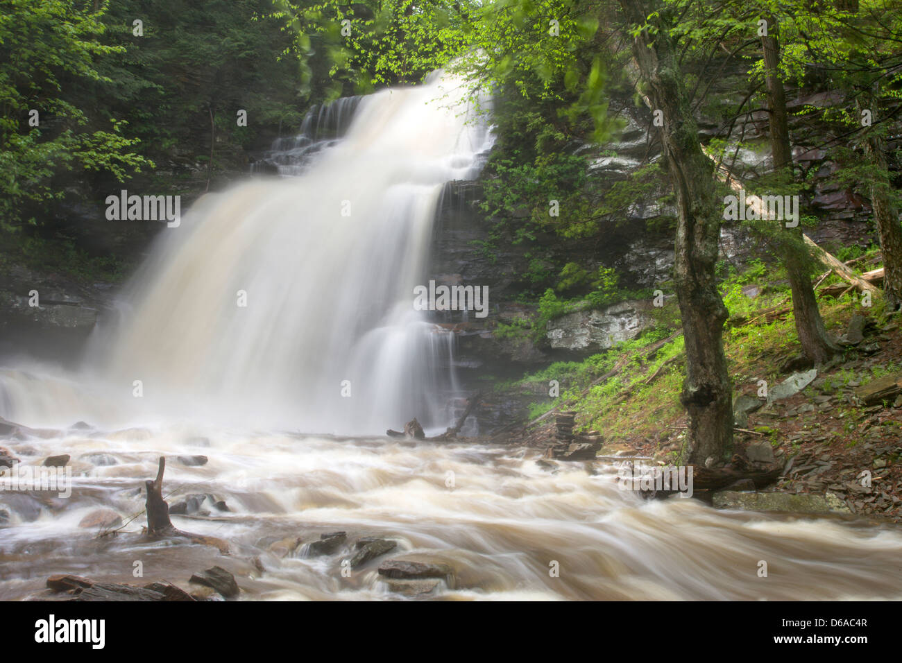 GANOGA TORRENT PRINTEMPS CUISINE CASCADE CREEK RICKETTS GLEN STATE PARK LUZERNE COMTÉ PENNSYLVANIA USA Banque D'Images