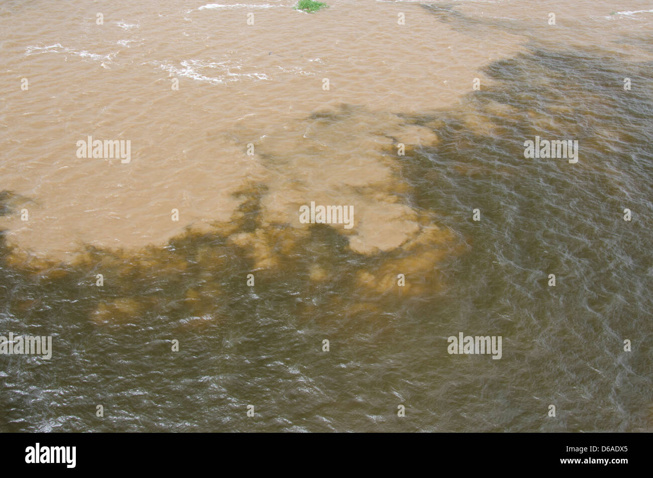 rencontre eaux amazonie