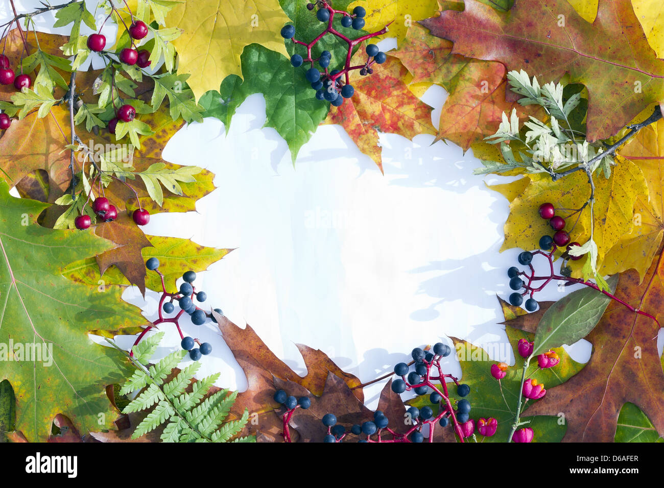 La lumière du soleil et les tons de l'automne jours Banque D'Images