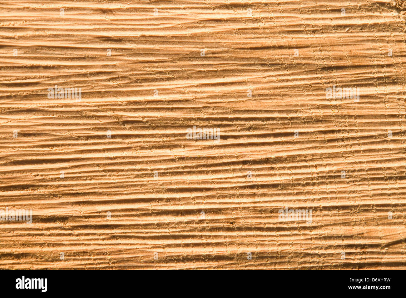 Close-Up Texture de bois Bois Rough-Cut (coupé avec une scie à chaîne) Banque D'Images