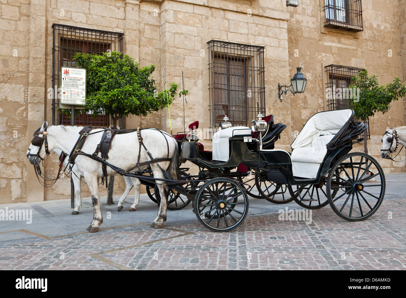 Transport en attente devant la Mosquée de Cordoue pour une visite autour de la belle et la ville touristique. Banque D'Images