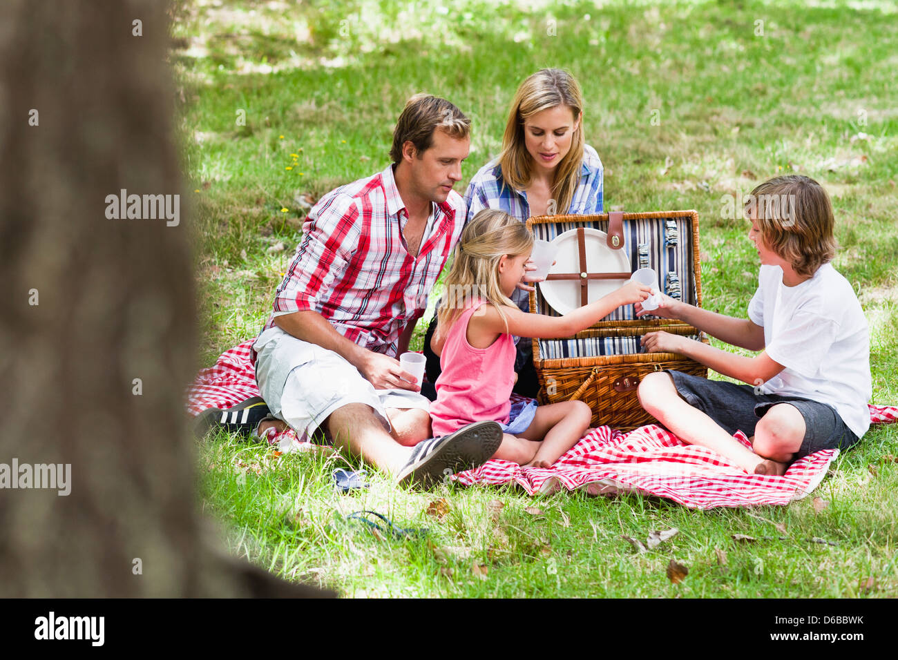 Family having picnic in park Banque D'Images