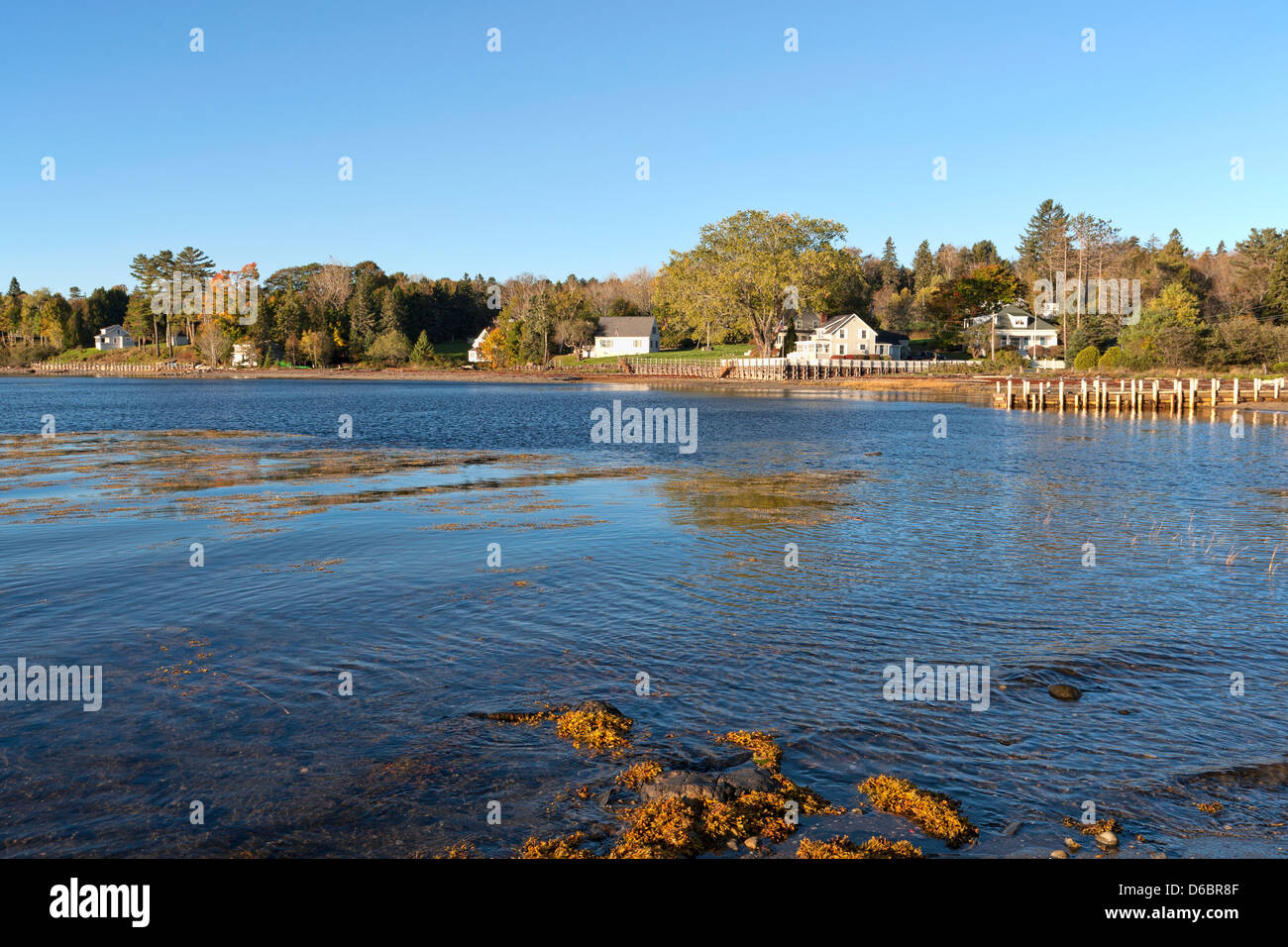 La côte de Bar Harbor Maine Penobscot Bay au début de l'automne avec les roches et les algues et des maisons d'été. Banque D'Images