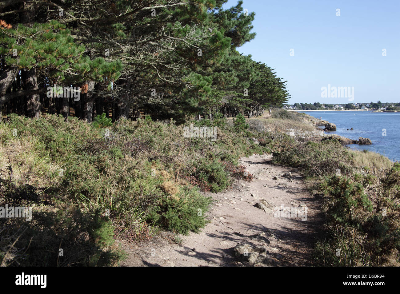 La magnifique région côtière de Montsarrac sur le Golf du Morbihan, Bretagne, France, septembre 2012 Banque D'Images