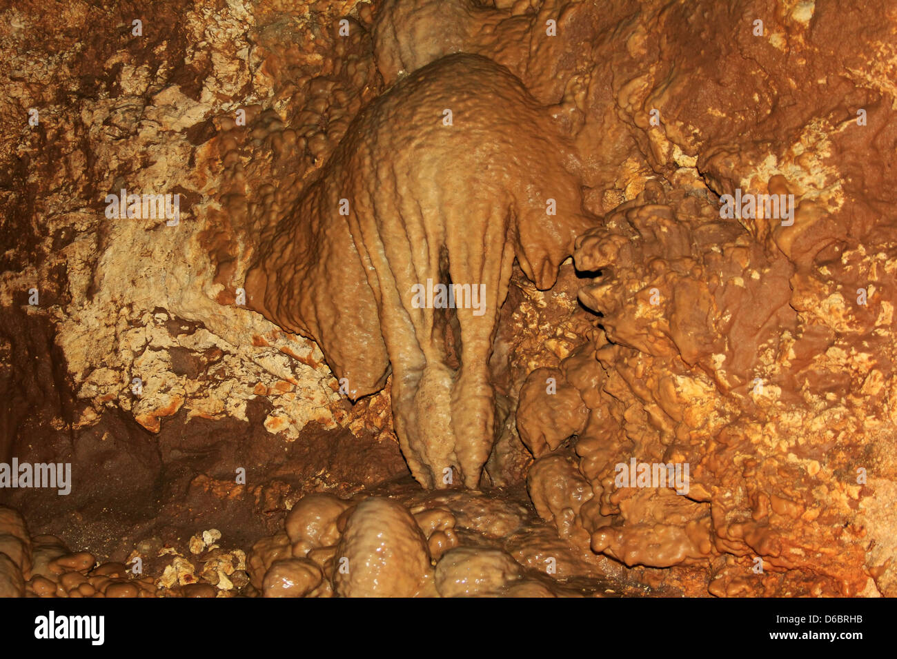 L'incroyable Harrison grottes à la Barbade. Banque D'Images