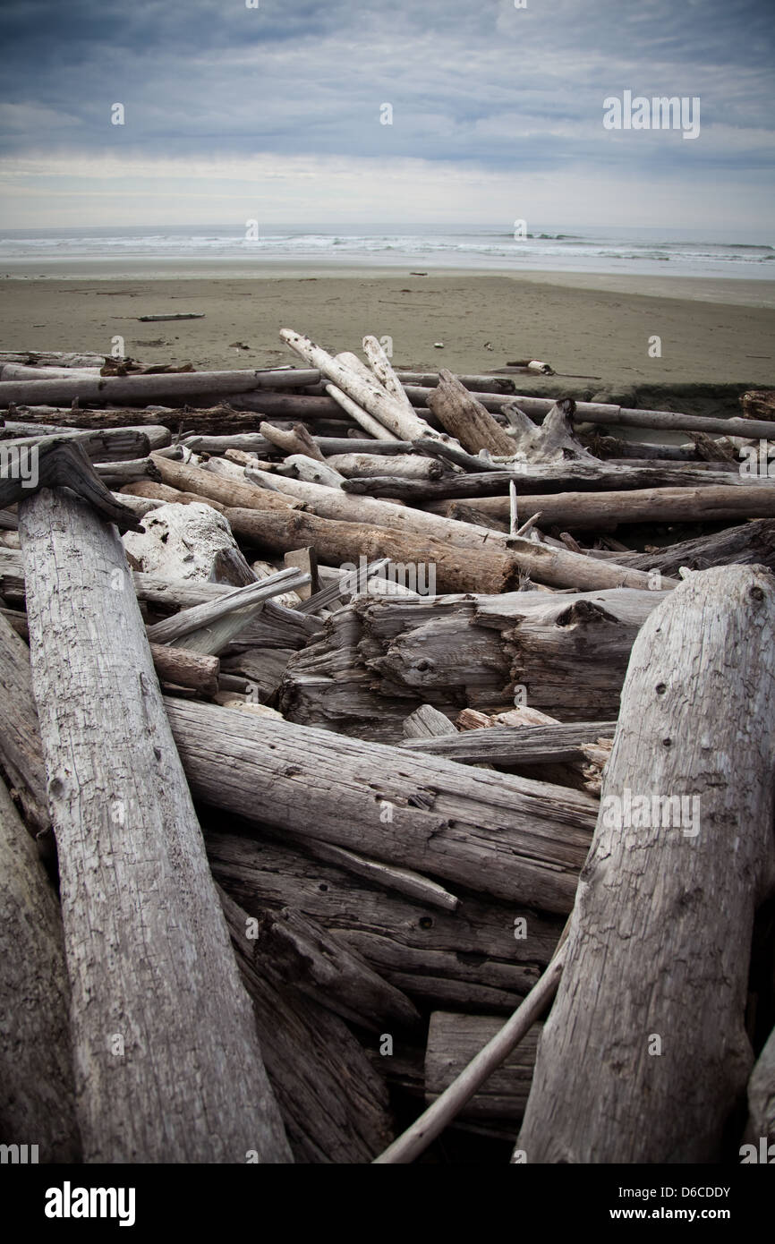 Driftwood sur Long Beach, île de Vancouver Banque D'Images