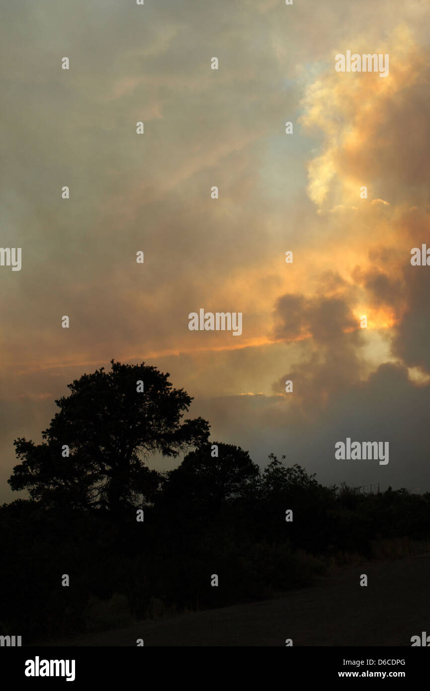 Le panache de fumée observé au-dessus de Los Alamos le 27 juin 2011 provient d'un incendie près du laboratoire national de Los Alamos. L'incendie constituait une menace importante pour le laboratoire et les zones environnantes. Banque D'Images