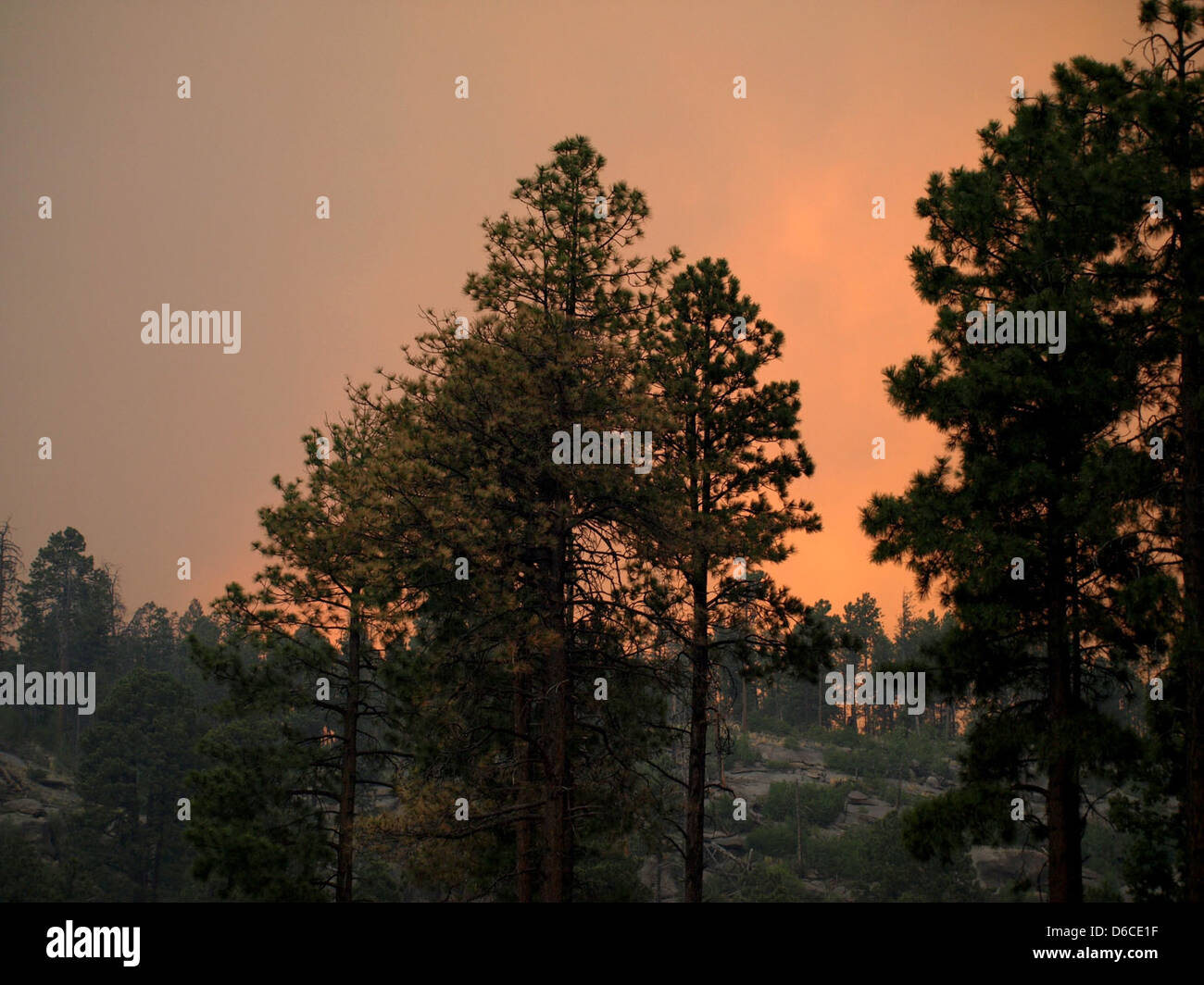 Le 27 juin 2011, un incendie éclate près du laboratoire national de Los Alamos, situé au Nouveau-Mexique. L'incendie posait un risque important pour la région environnante, et des efforts ont été déployés pour protéger l'installation contre des dommages potentiels. Banque D'Images