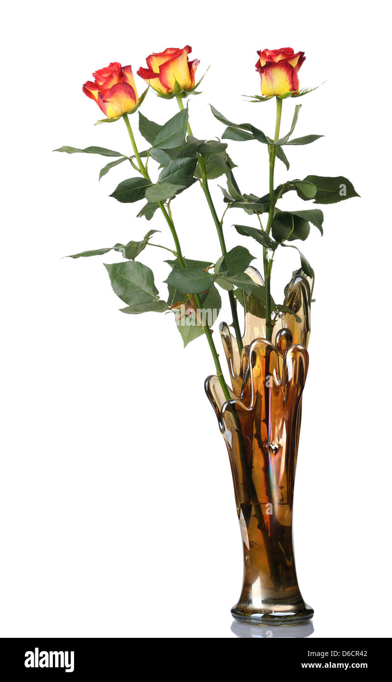 Roses rouges dans un vase, isolé Banque D'Images