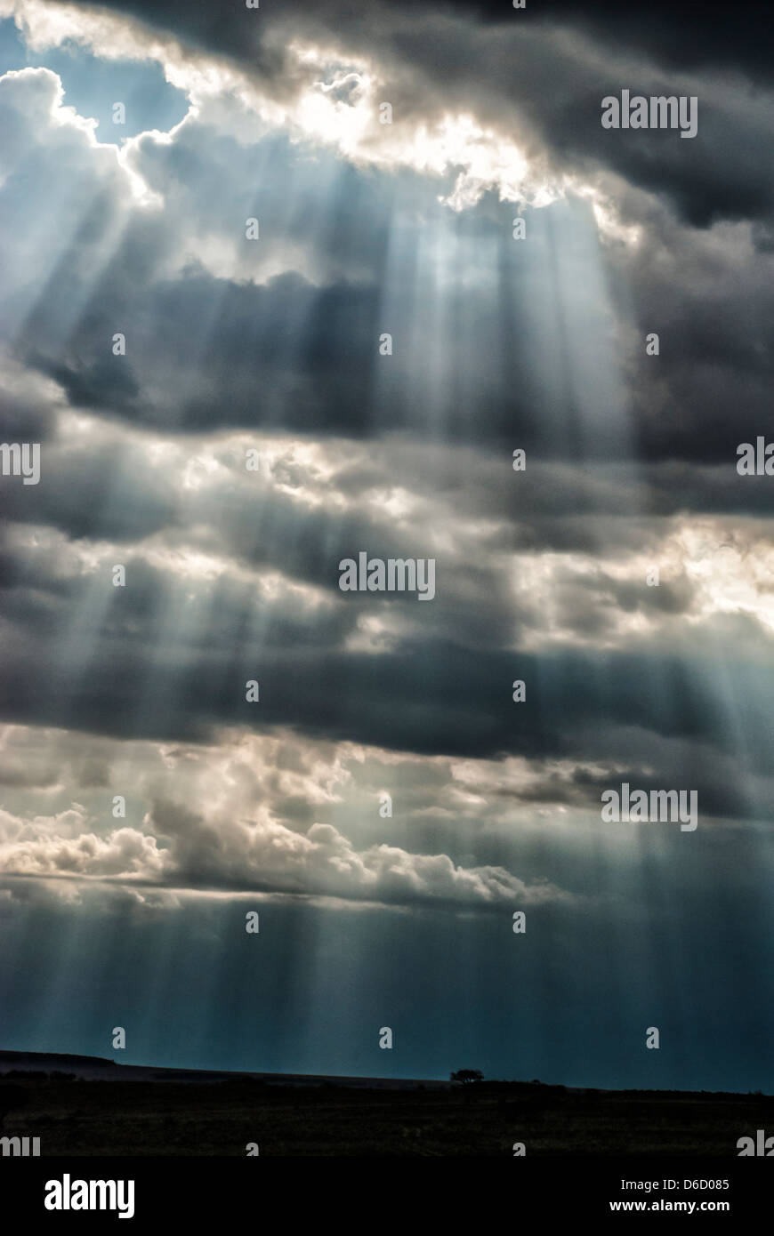 Des faisceaux de lumière du soleil qui traverse les nuages de tempête dans le Masai Mara, Kenya, Afrique Banque D'Images