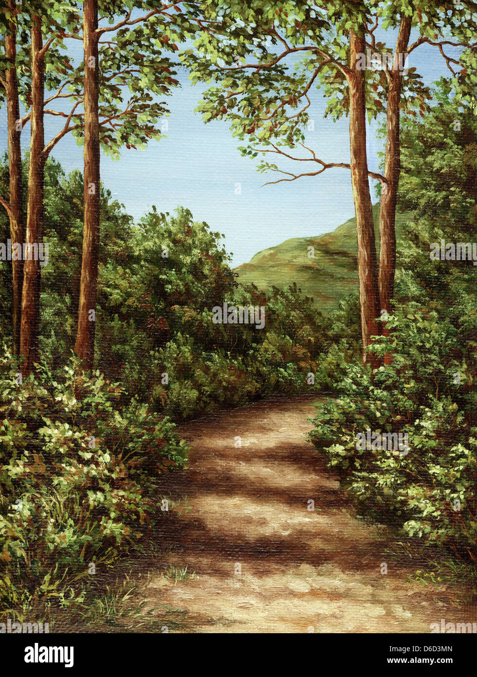 Sentier de montagne en bois Banque D'Images