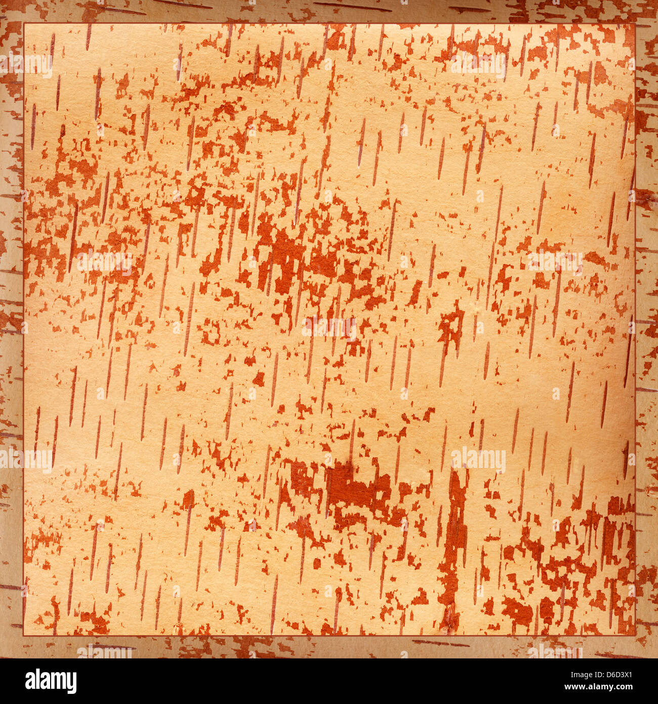 WoodГ¬ horizons, Banque D'Images