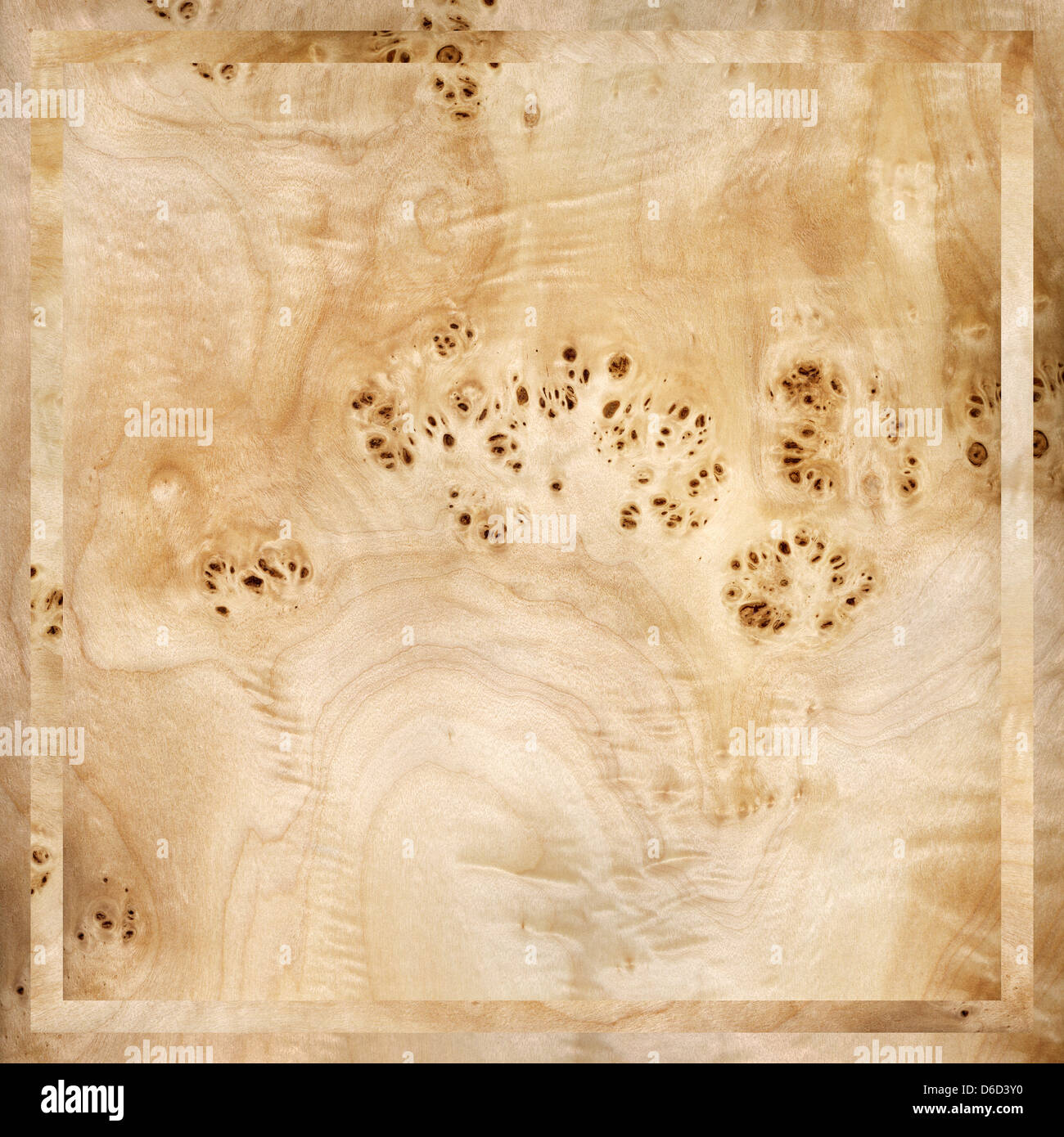 Origines, bois Banque D'Images