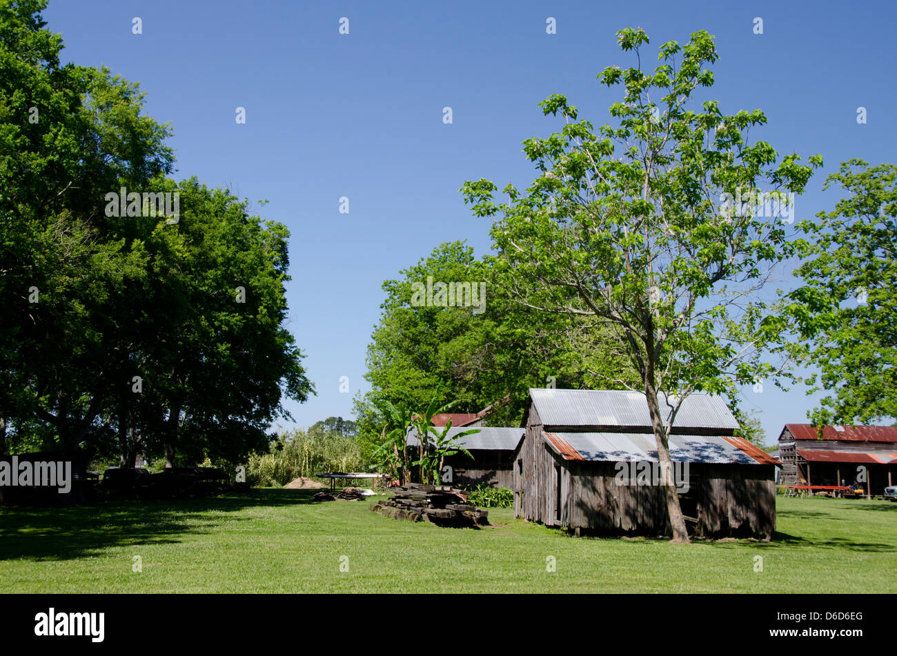 Louisiane, Nouvelle Orléans, Vacherie. 'Laura' Antebellum plantation créole historique. Cabine esclave, vers 1840. Banque D'Images