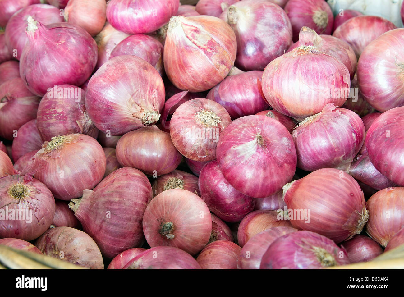 Panier d'oignons rouges pour la vente par le vendeur au marché de l'Asie du Sud-Est closeup Banque D'Images