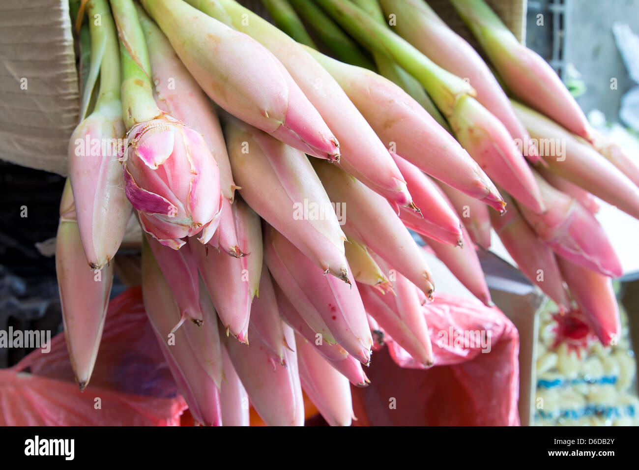 Bananier de fleurs au marché libre de l'Asie du Sud-Est Banque D'Images