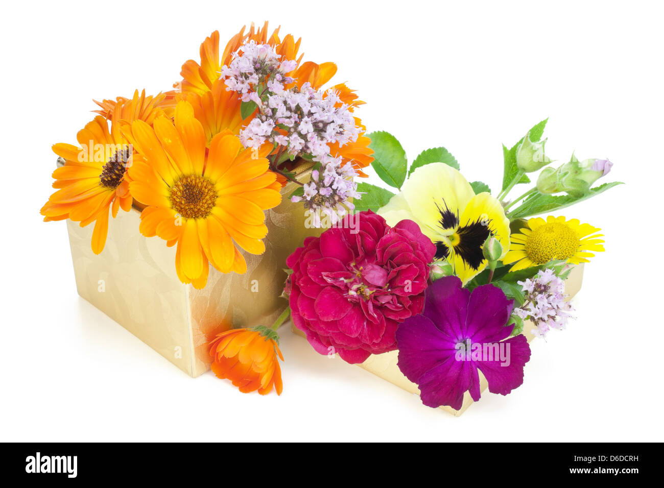 Cadeau pour juillet le bien-aimé Banque D'Images