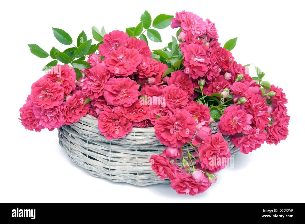 Panier de roses dans un cadeau pour maman Banque D'Images