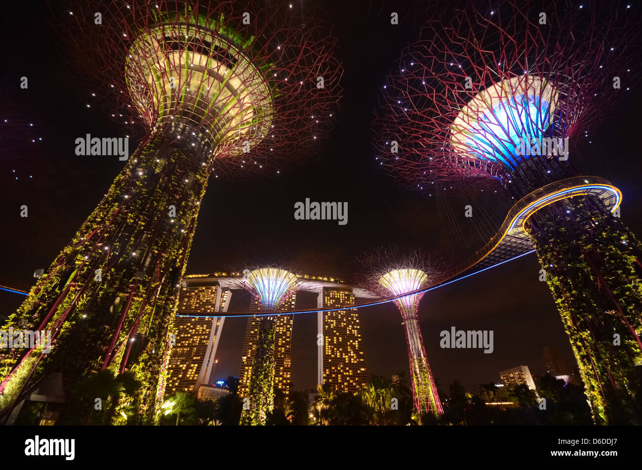 Gardens by the Bay - SuperTree Grove à Singapour Banque D'Images