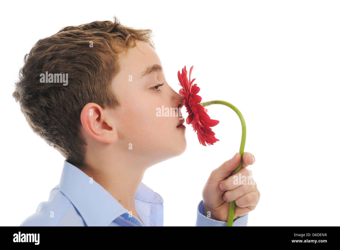 garçon avec fleur Banque D'Images