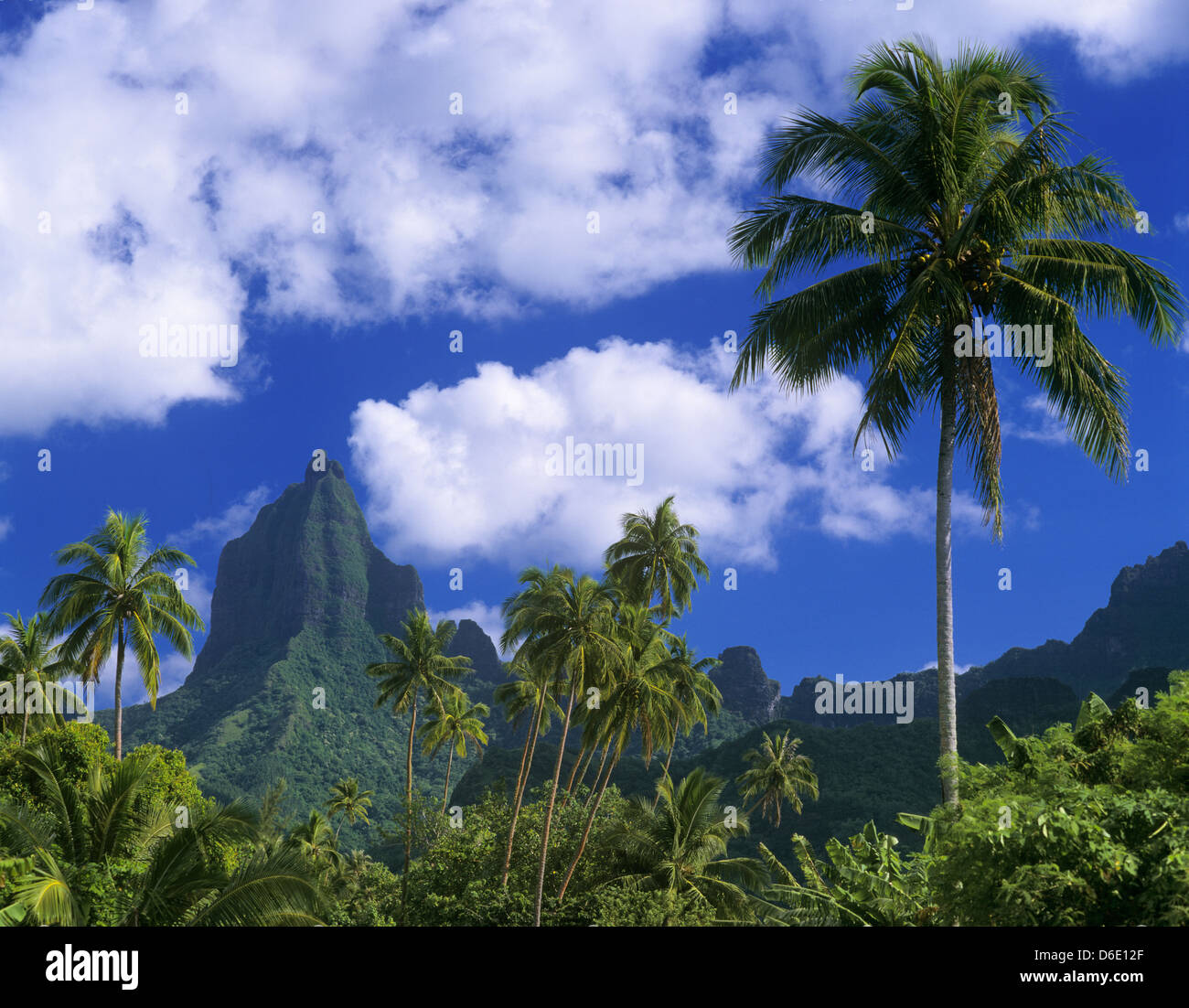 Polynésie Française, îles de la société, îles du Vent, Moorea, vue sur le mont Mouaroa à partir de la Baie d'Opunohu Banque D'Images
