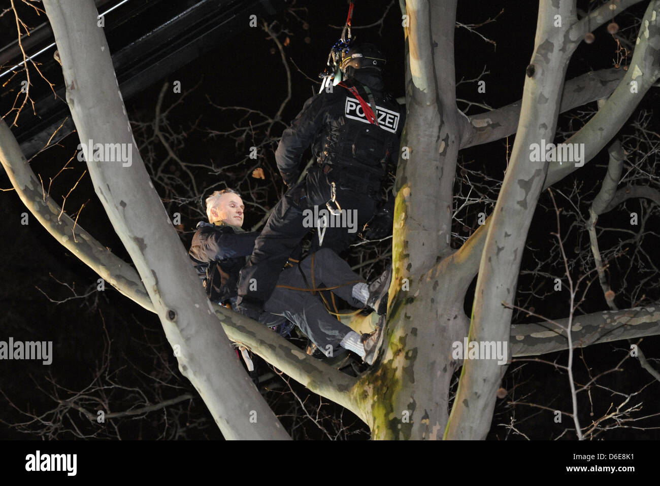 Un opposant au projet ferroviaire Stuttgart 21 démontre par assis dans un arbre à Stuttgart, Allemagne, 21 janvier 2011. L'abattage de 31 arbres ont commencé à Stuttgart pour construire le tunnel Wagenburg et était accompagnée par de nombreuses manifestations. Photo : Franziska Kraufmann Banque D'Images