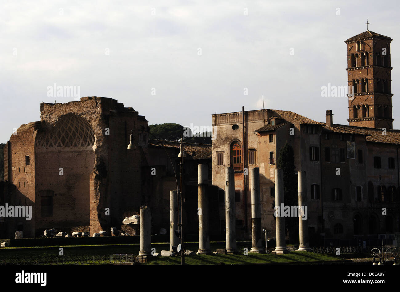 L'Italie. Rome. Forum romain. Temple de Vénus et Rome, commencé en 121 par l'empereur Hadrien et fini dans les 141 par Antonin. Banque D'Images